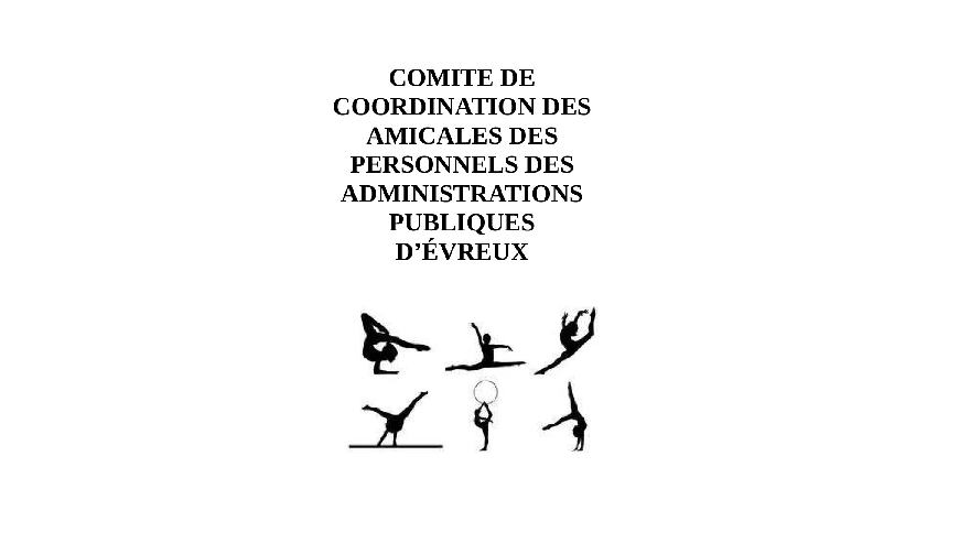 Comité de Coordination des Amicales des Personnels des Administration Publique de l’Etat (CCAPAPE)