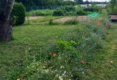 LES JARDINS DU CLOS VIRONVAY