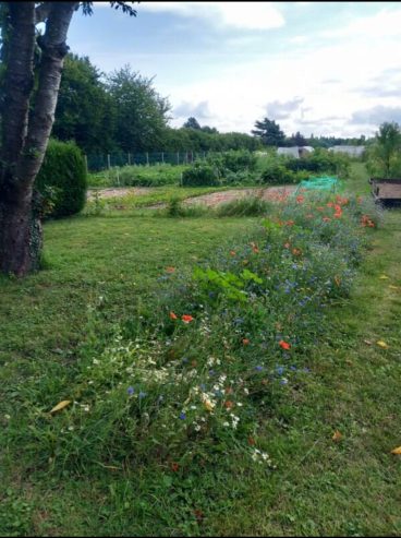 LES JARDINS DU CLOS VIRONVAY