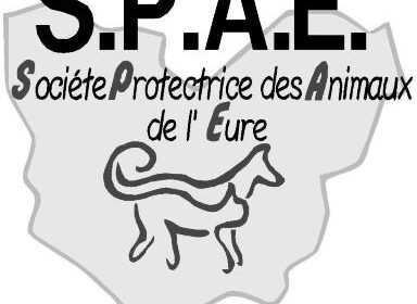 LOGO-SPAE